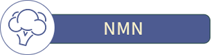 NMN